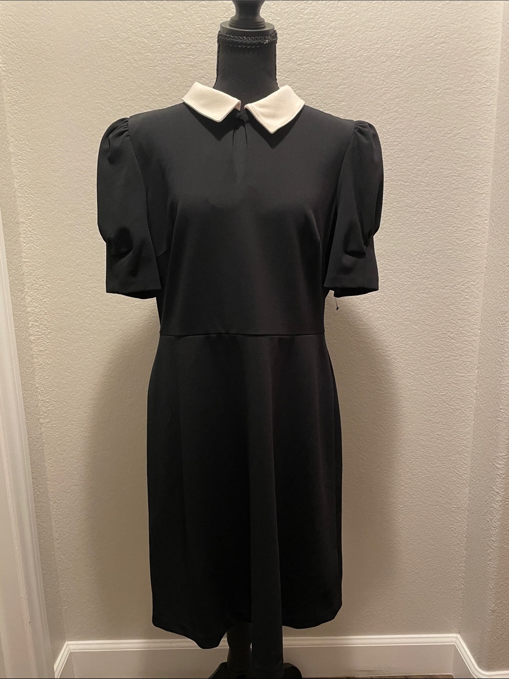 DKNY Black Mini Dress with White Peter Pan Collar